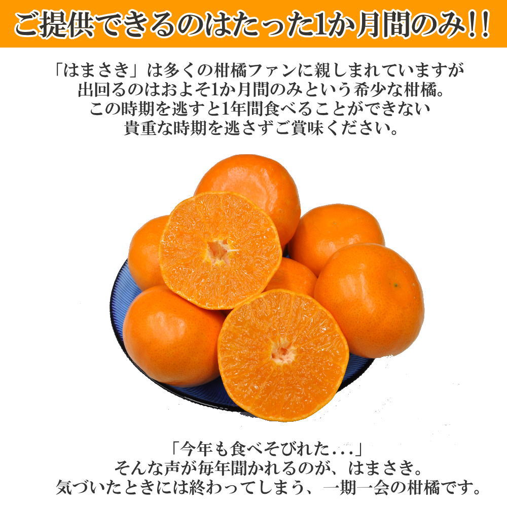 はまさき 佐賀県産 せとか の姉妹品種 柑橘 みかん 唐津 果物 麗紅 れ