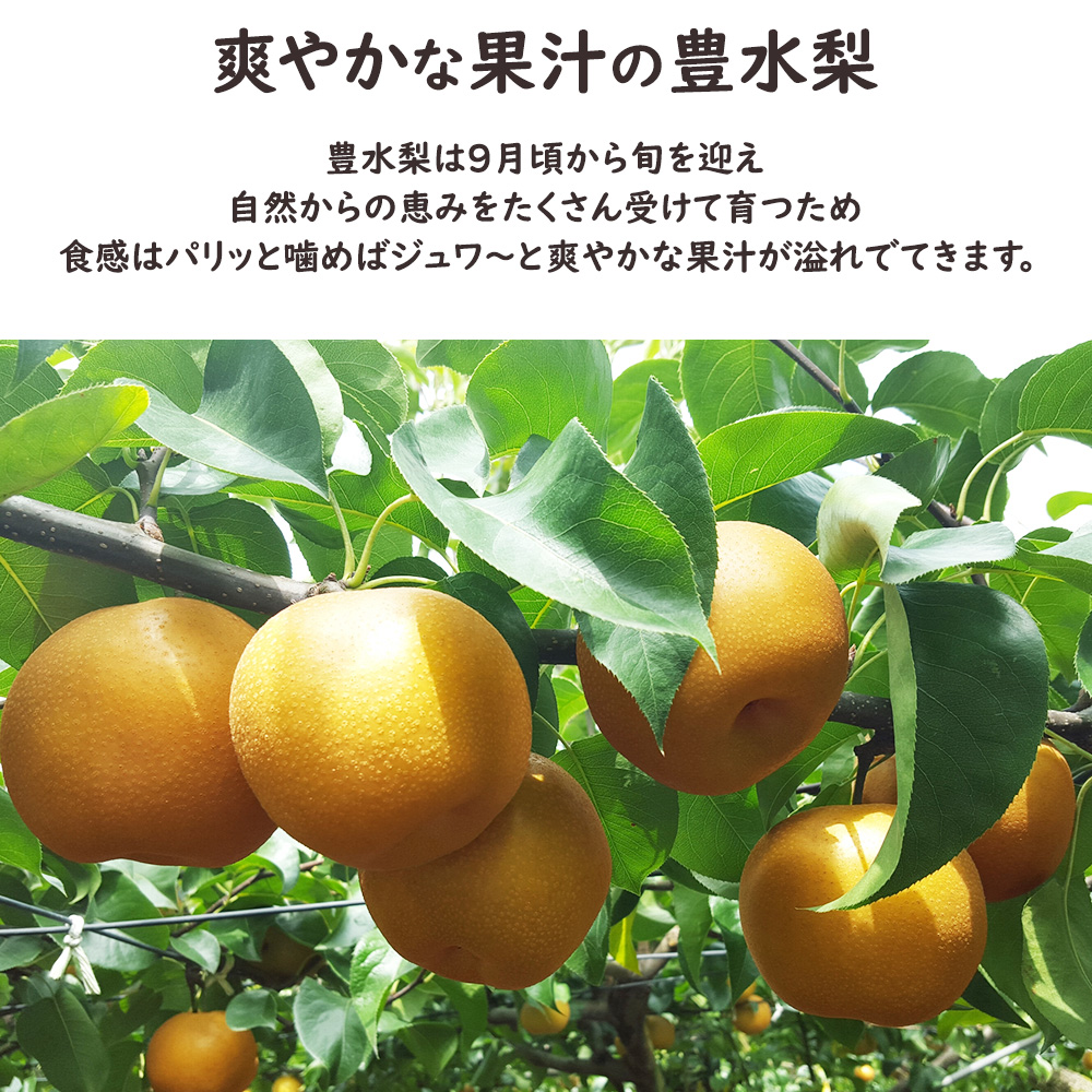 梨