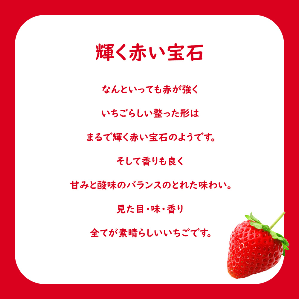 発送中／ いちごさん いちご イチゴ 苺 佐賀 果物 フルーツ ギフト