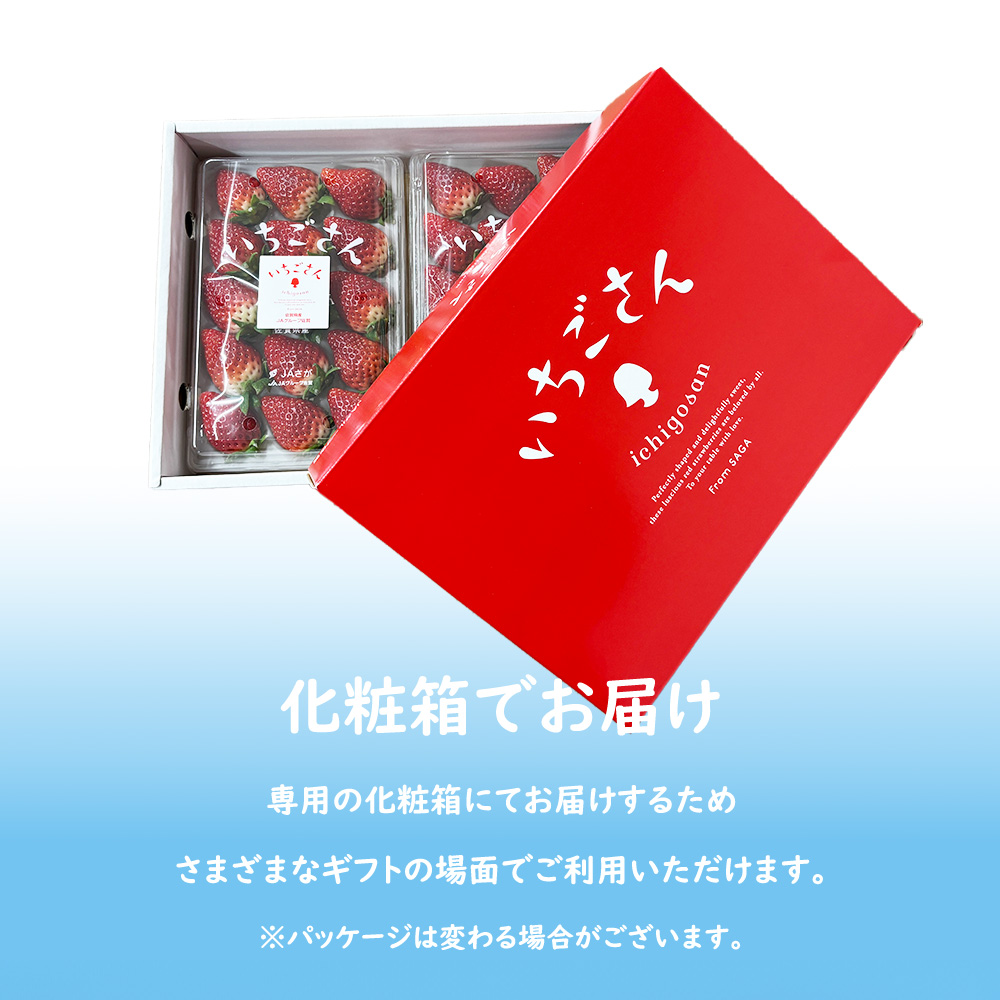 発送中／ いちごさん いちご イチゴ 苺 佐賀 果物 フルーツ ギフト