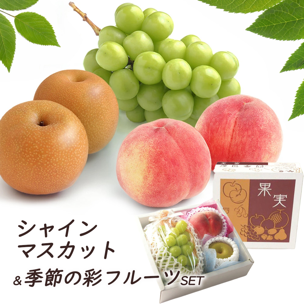 夏の彩セット