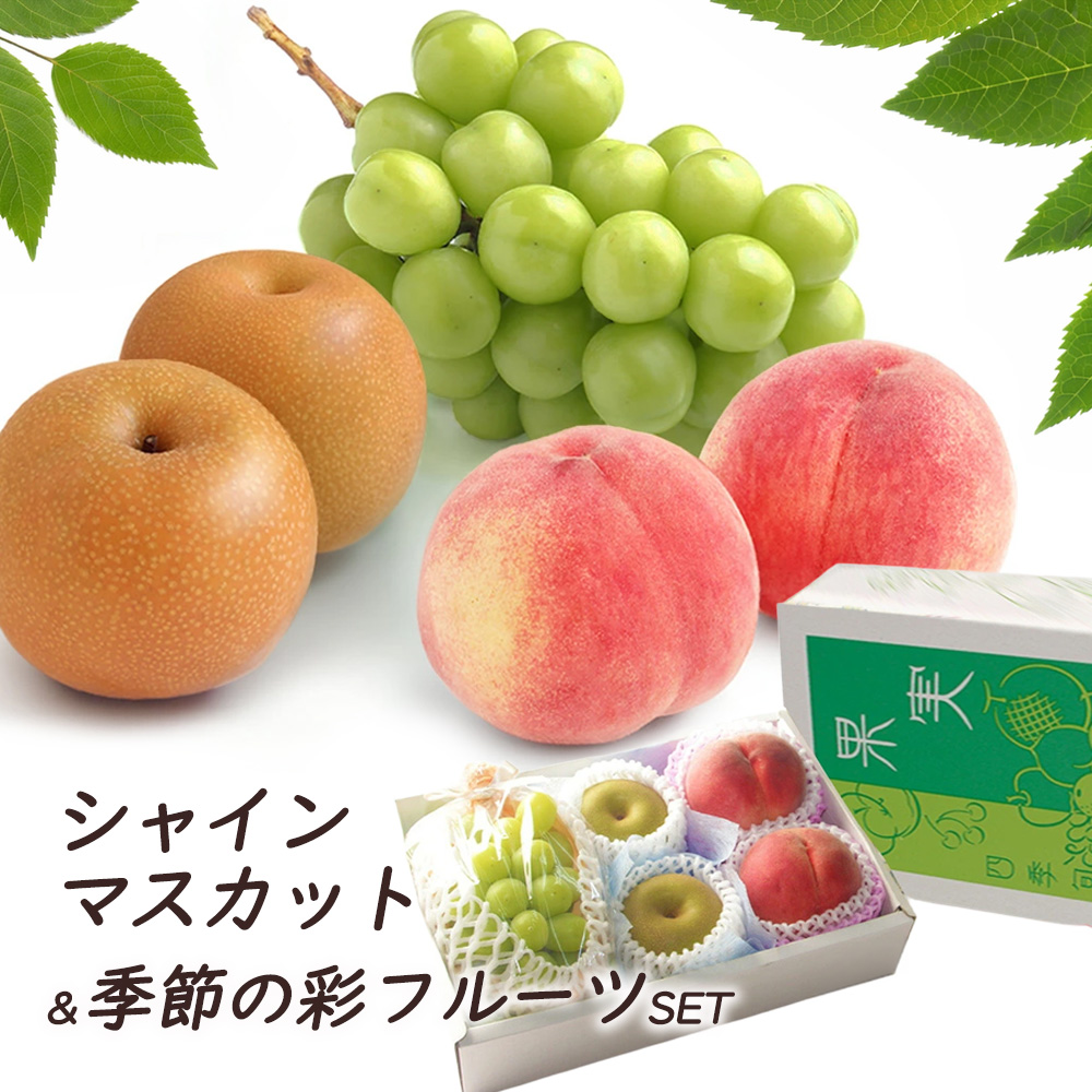 夏の彩セット