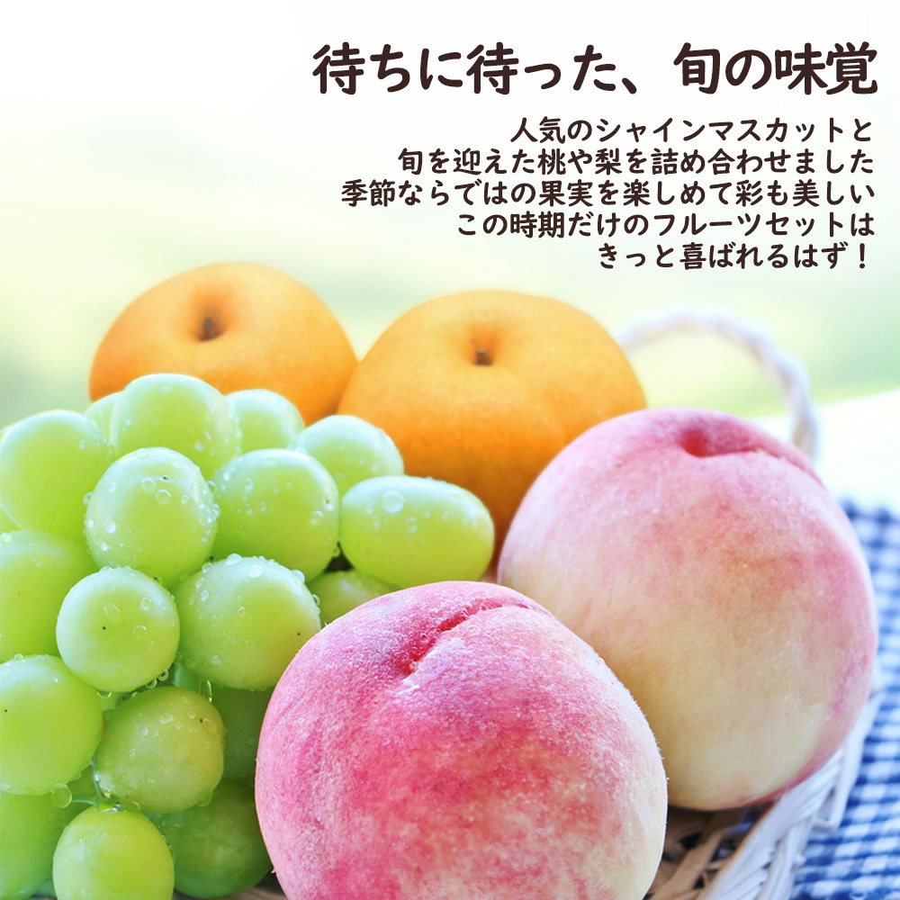 �V���C���}�X�J�b�g �� �� �h�V�̓� �}�X�J�b�g �Ȃ� ���� �t���[�c �l�ߍ��킹 ������ �ăM�t�g ���j�� ������ ���~�yBO�z[�Ă̍ʂ�t���[�c�Z�b�gA]:�① �֘A�摜2