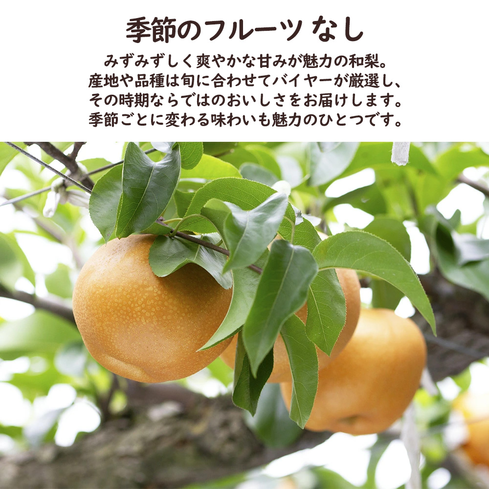 シャインマスカット 梨 桃 敬老の日 マスカット なし もも フルーツ