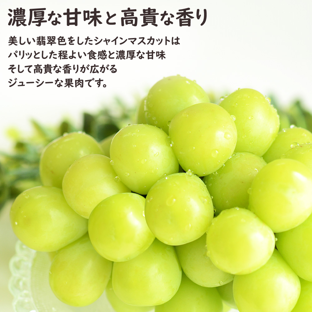 彩りフルーツセット