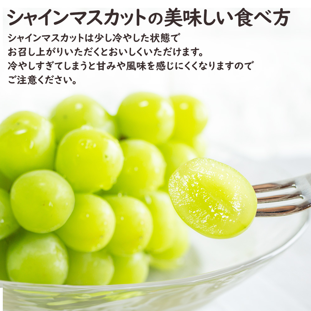 彩りフルーツセット