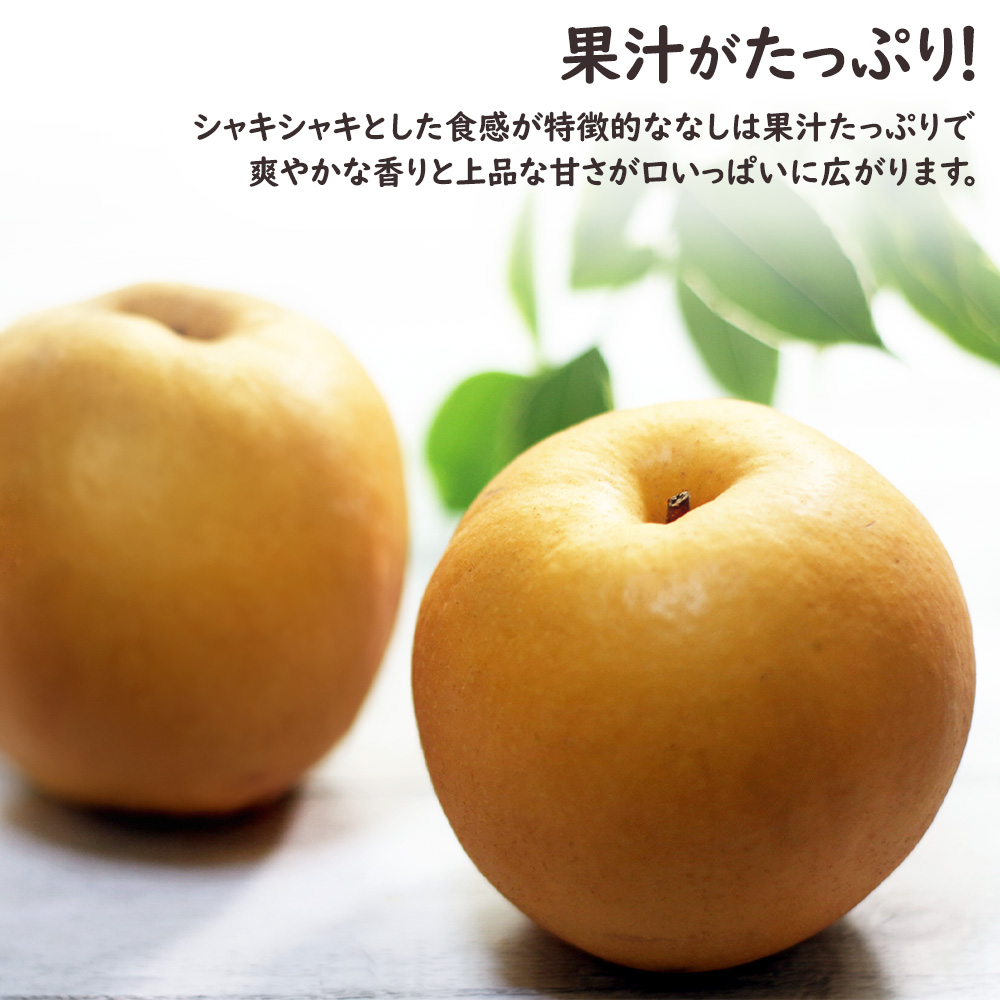 彩りフルーツセット