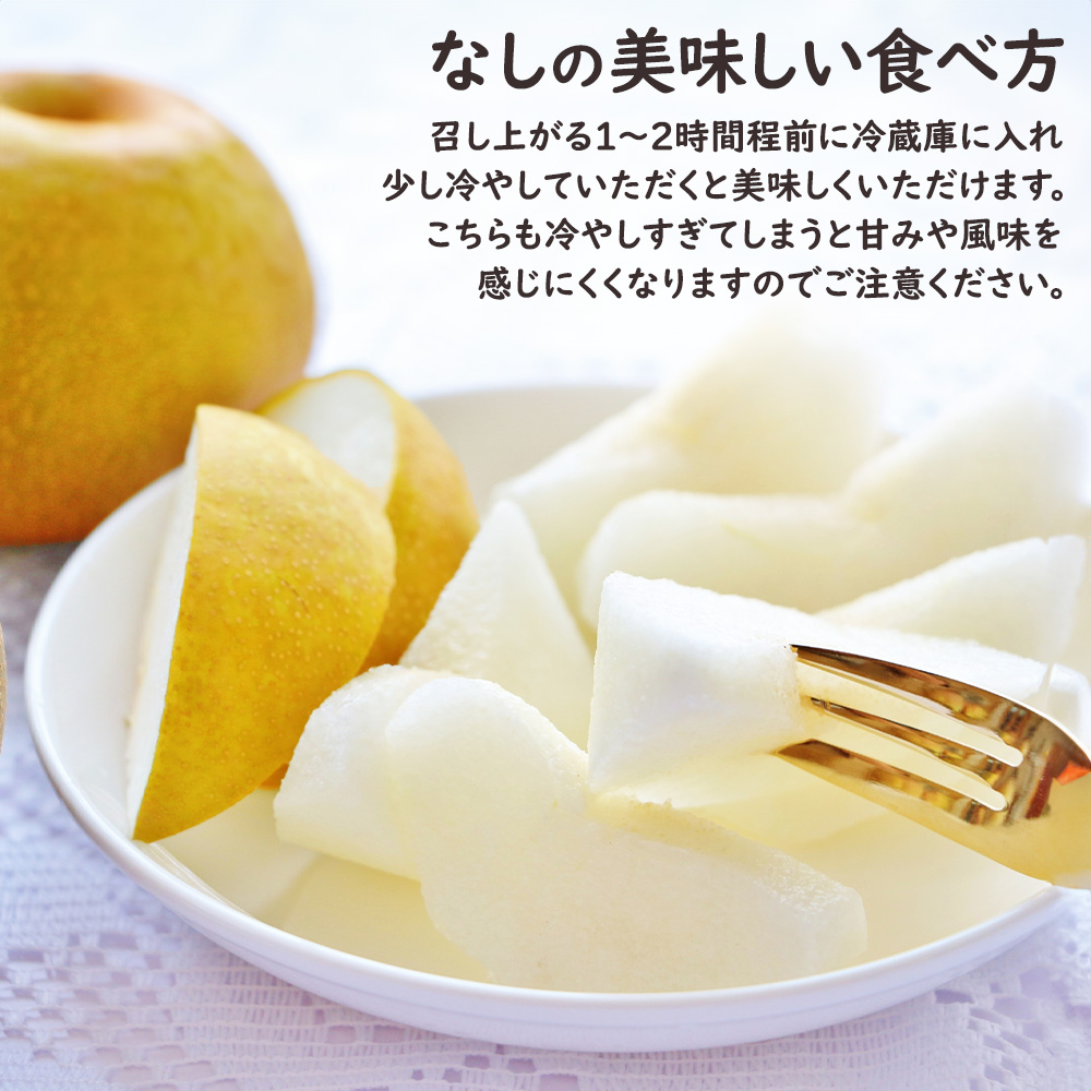 彩りフルーツセット