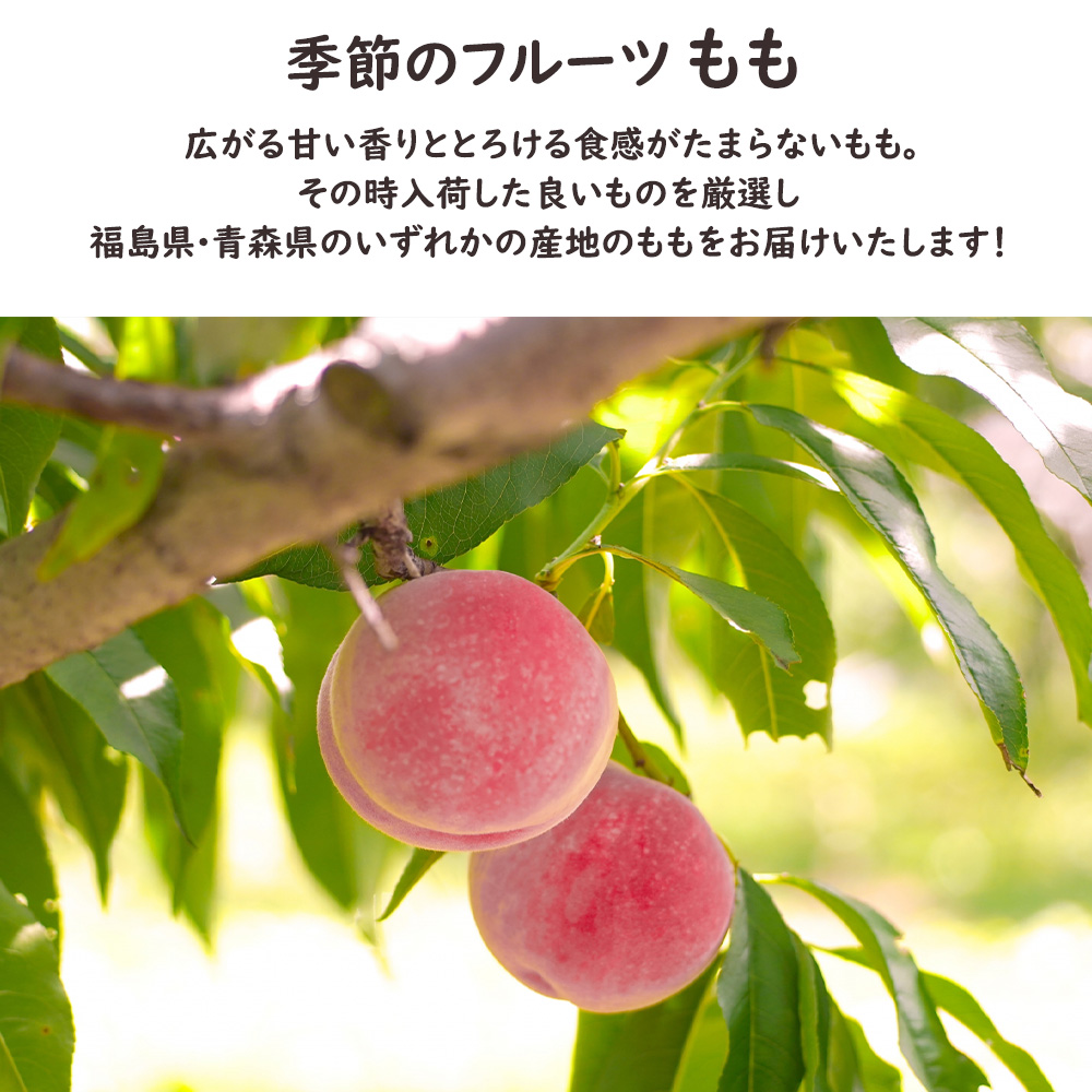 彩りフルーツセット