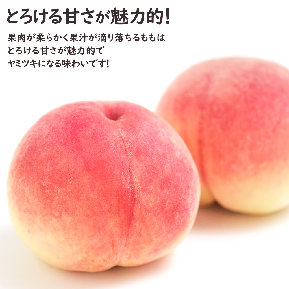 彩りフルーツセット