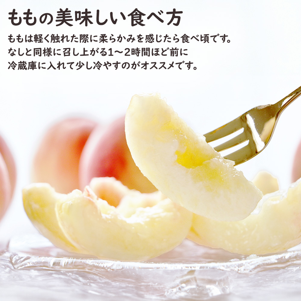 彩りフルーツセット