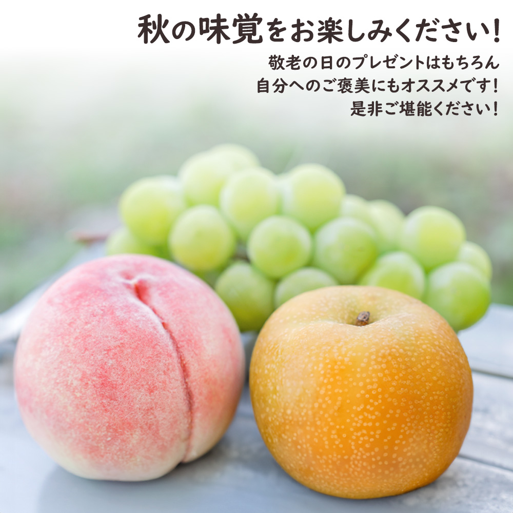 彩りフルーツセット