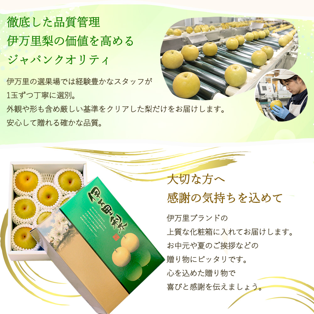 彩玉 梨の商品一覧 通販 - Yahoo!ショッピング
