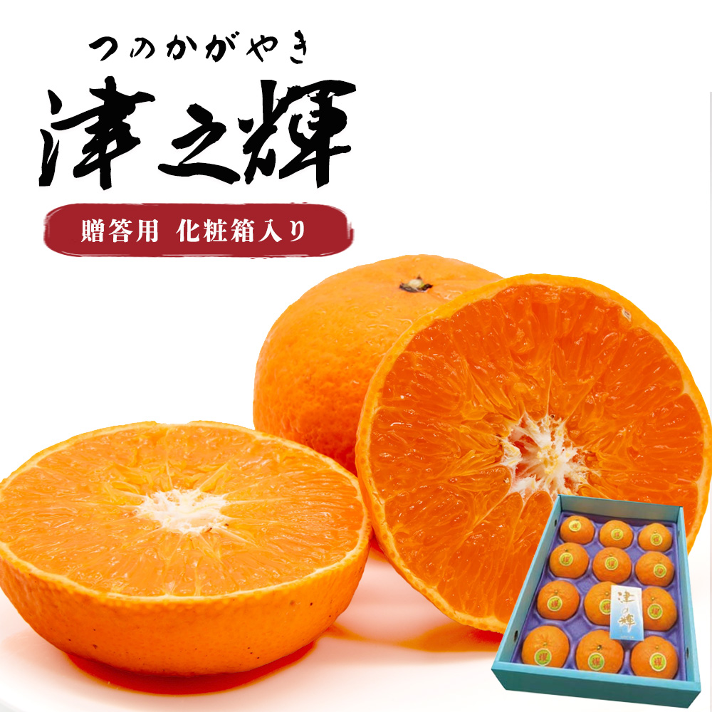 津之輝 つの輝き つのかがやき 津の輝き みかん オレンジ フルーツ
