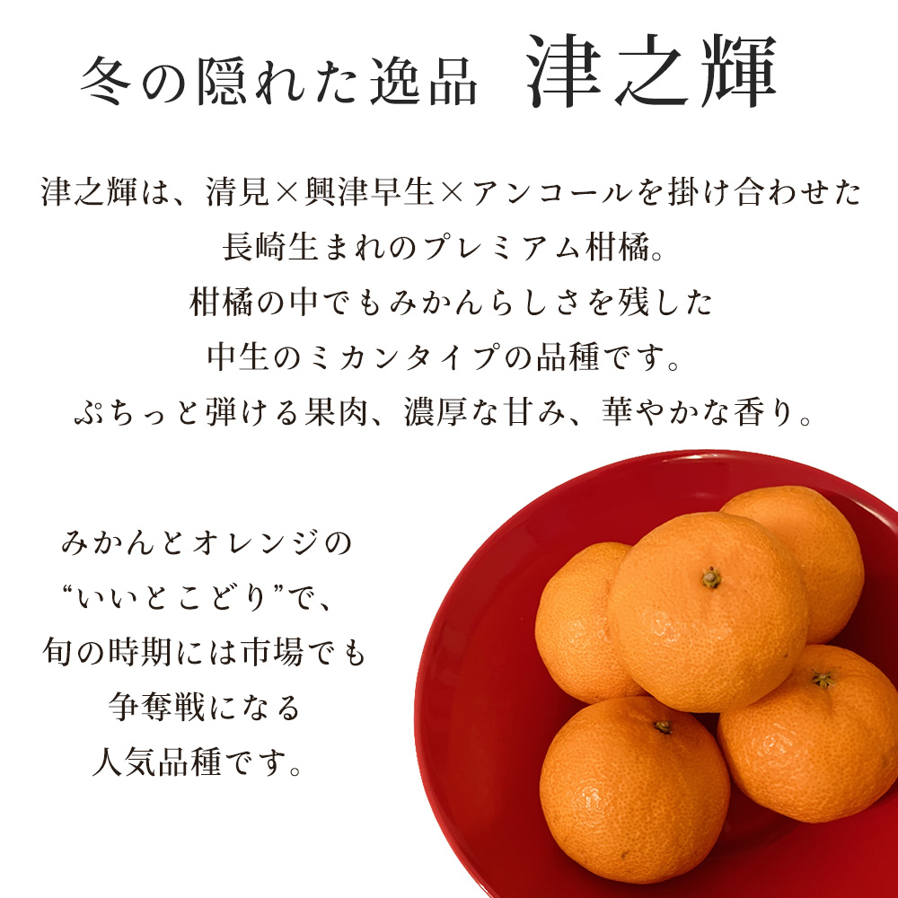 津之輝 つの輝き つのかがやき 津の輝き みかん オレンジ フルーツ