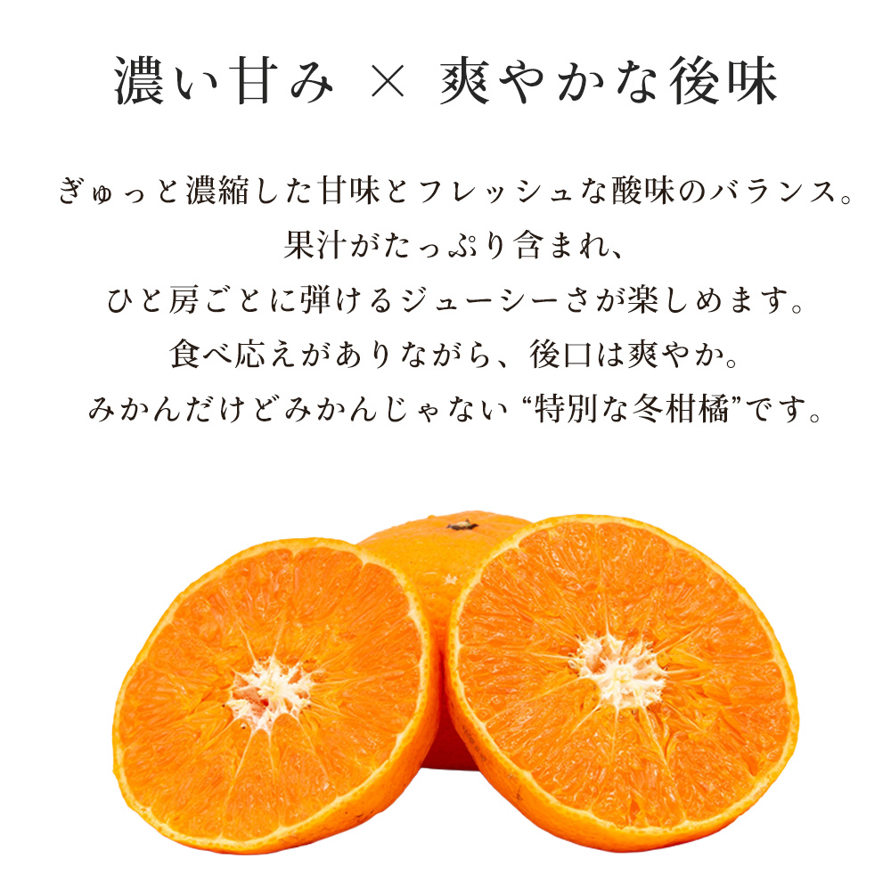 津之輝 つの輝き つのかがやき 津の輝き みかん オレンジ フルーツ