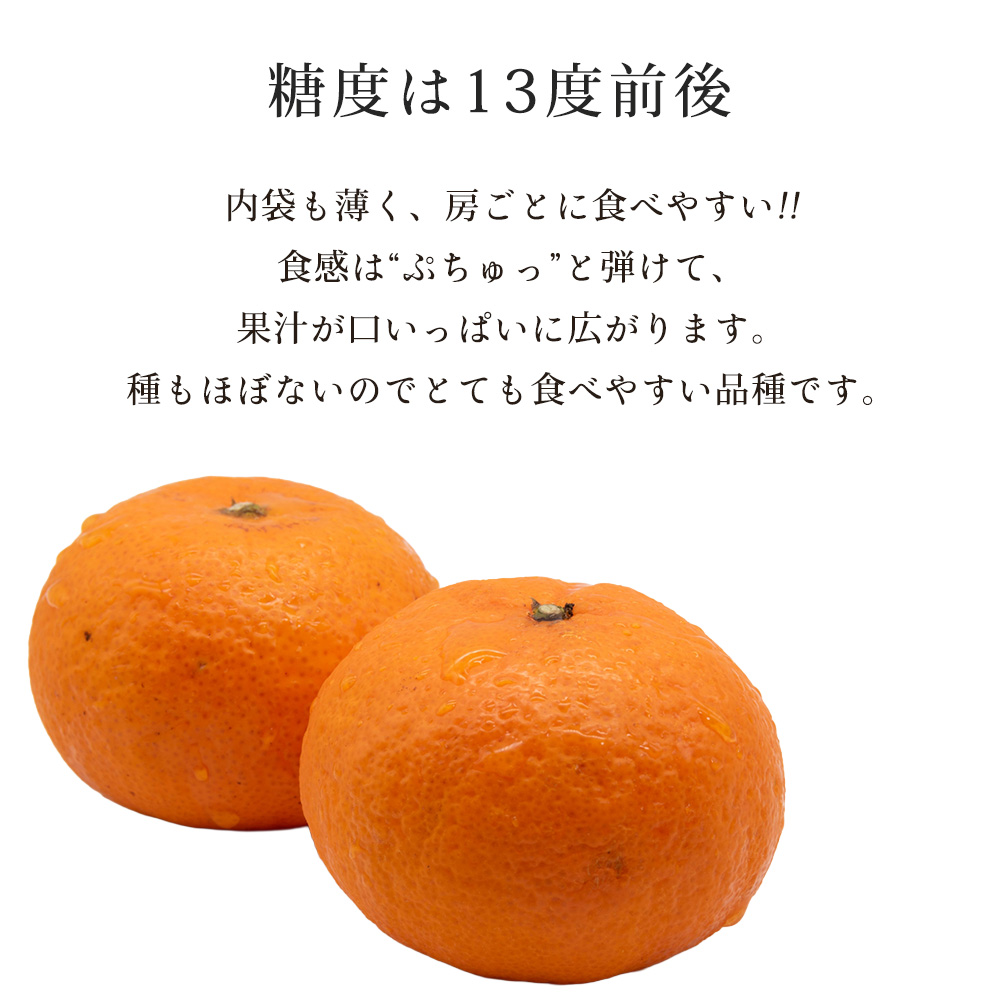 津之輝 つの輝き つのかがやき 津の輝き みかん オレンジ フルーツ