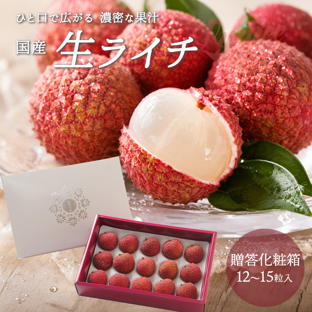 生 ライチ」の人気商品一覧・価格比較 - 価格.com