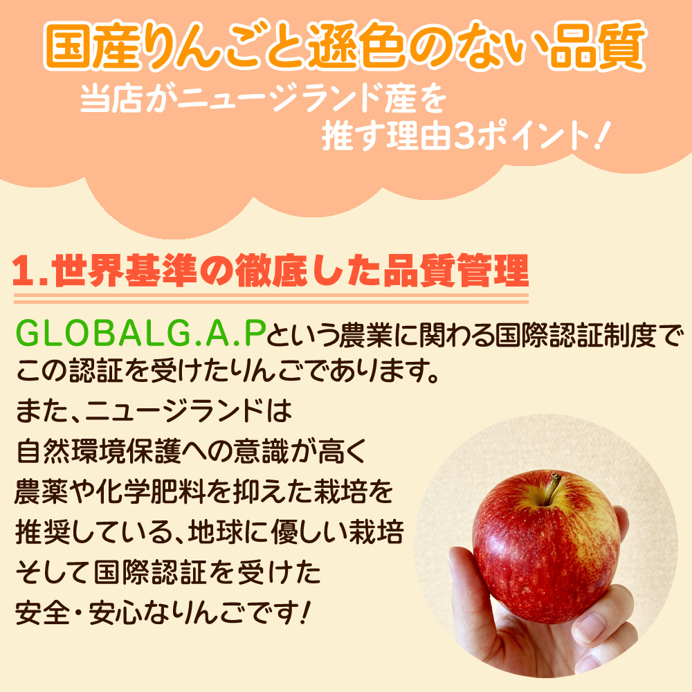 りんご出品！他の方はご遠慮ください。 りんご リンゴ 林檎 ニュージーランド産 ロイヤルガラ 10玉 約