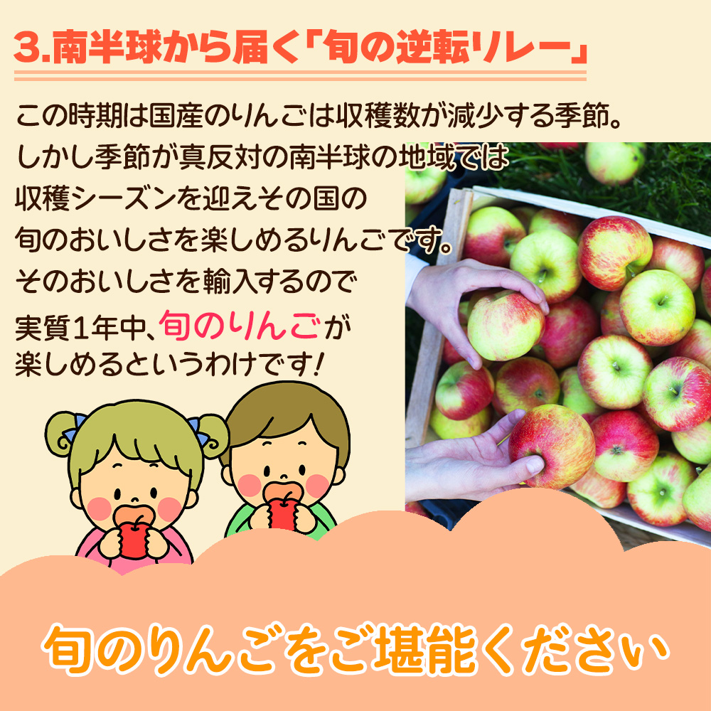 771.お買い得数量限定ニュージーランド産ブリーズ小玉ミニりんご10Kg jazz_apple2p_r2.jpg