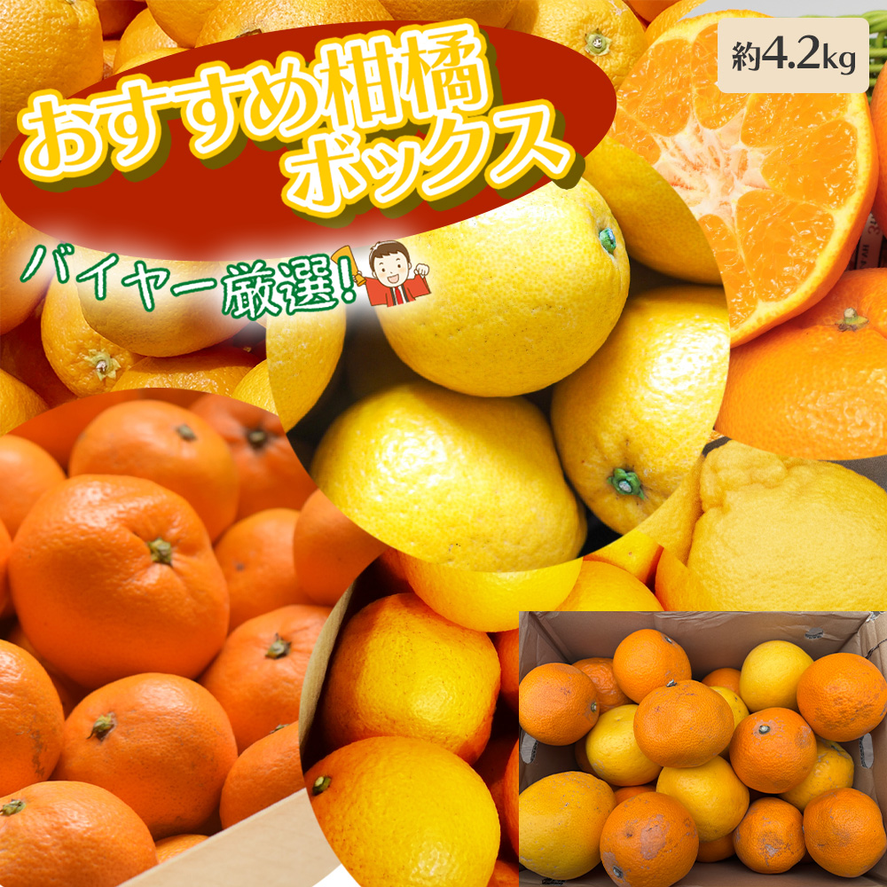 出荷中】さつまいも 自宅用 [甘太くん 大分県産 約5kg (M-Lサイズ 17本