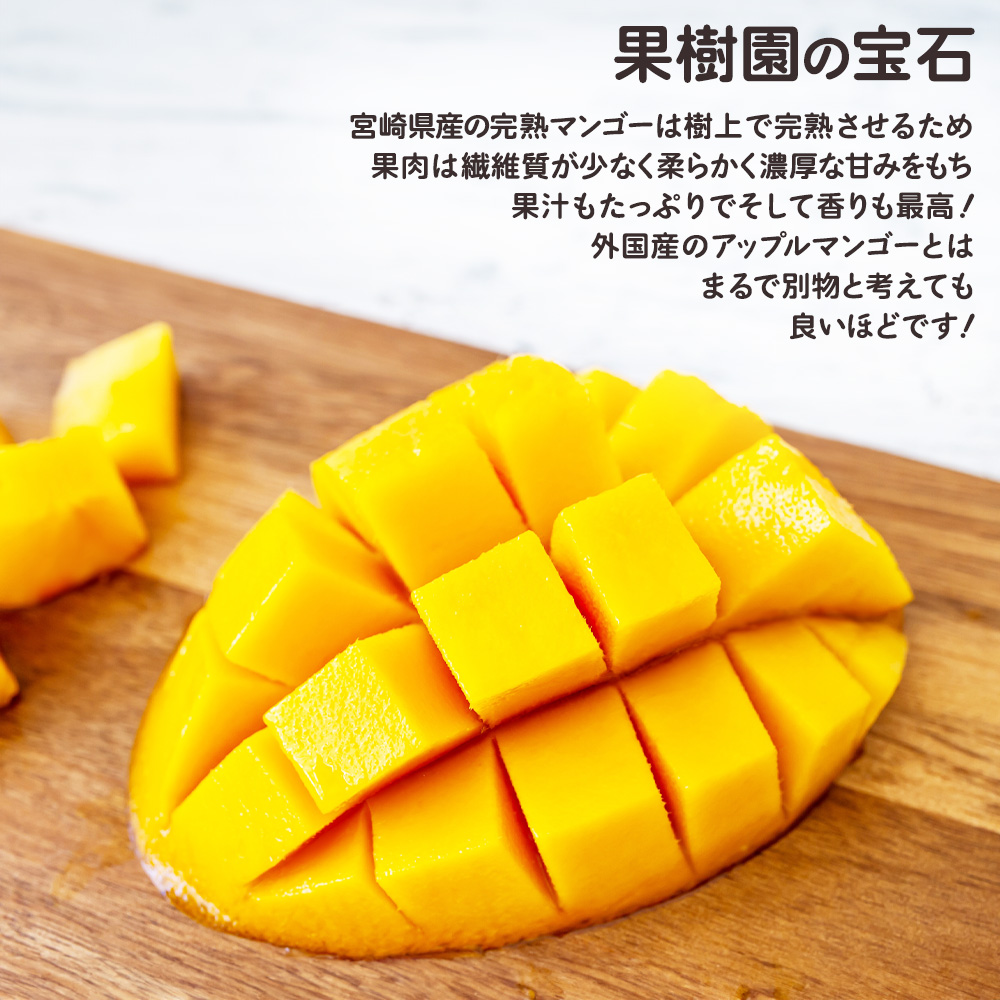 太陽のタマゴ 宮崎 糖度15度 完熟 マンゴー 2玉 化粧箱 贈答 フルーツ
