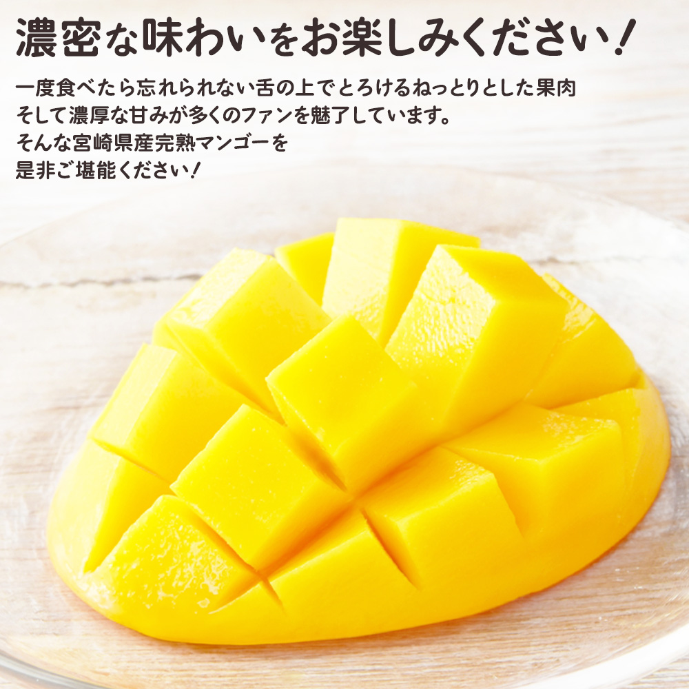 太陽のタマゴ 宮崎 糖度15度 完熟 マンゴー 2玉 化粧箱 贈答 フルーツ