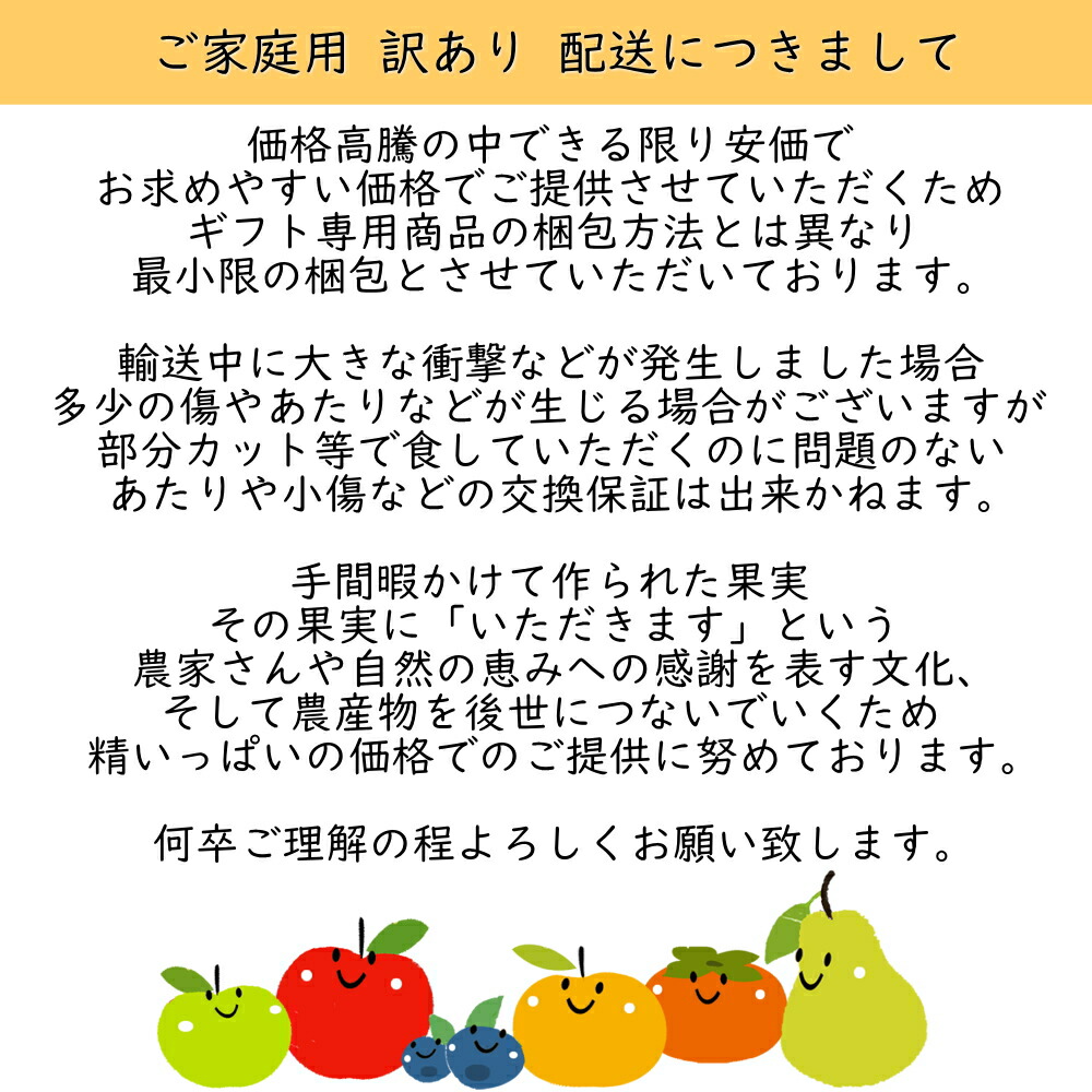 りんご リンゴ 林檎 ニュージーランド産 ロイヤルガラ 10玉 約