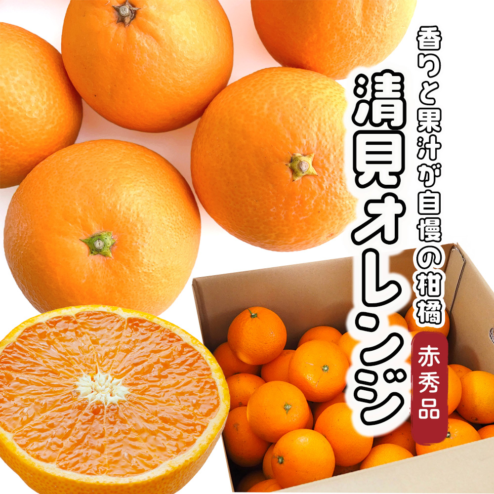 新堂「新清」清見オレンジ赤秀品2L10キロ 清見オレンジ 赤秀品 約10kg M〜2L 清見タンゴール みかん オレンジ