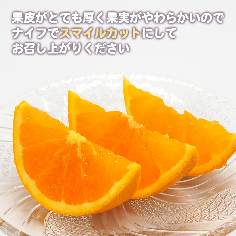 清見オレンジ 赤秀品 約10kg M〜2L 清見タンゴール みかん オレンジ