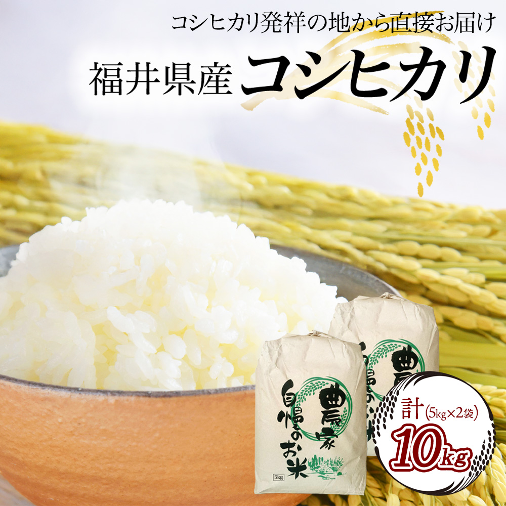 こしひかり 10kg 福井」の人気商品一覧 | 安い商品を通販サイトから