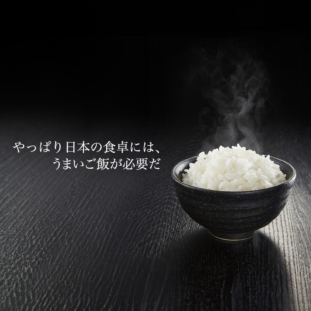 令和7年度産】福井県産 コシヒカリ こしひかり 玄米 10kg 産地直送 お