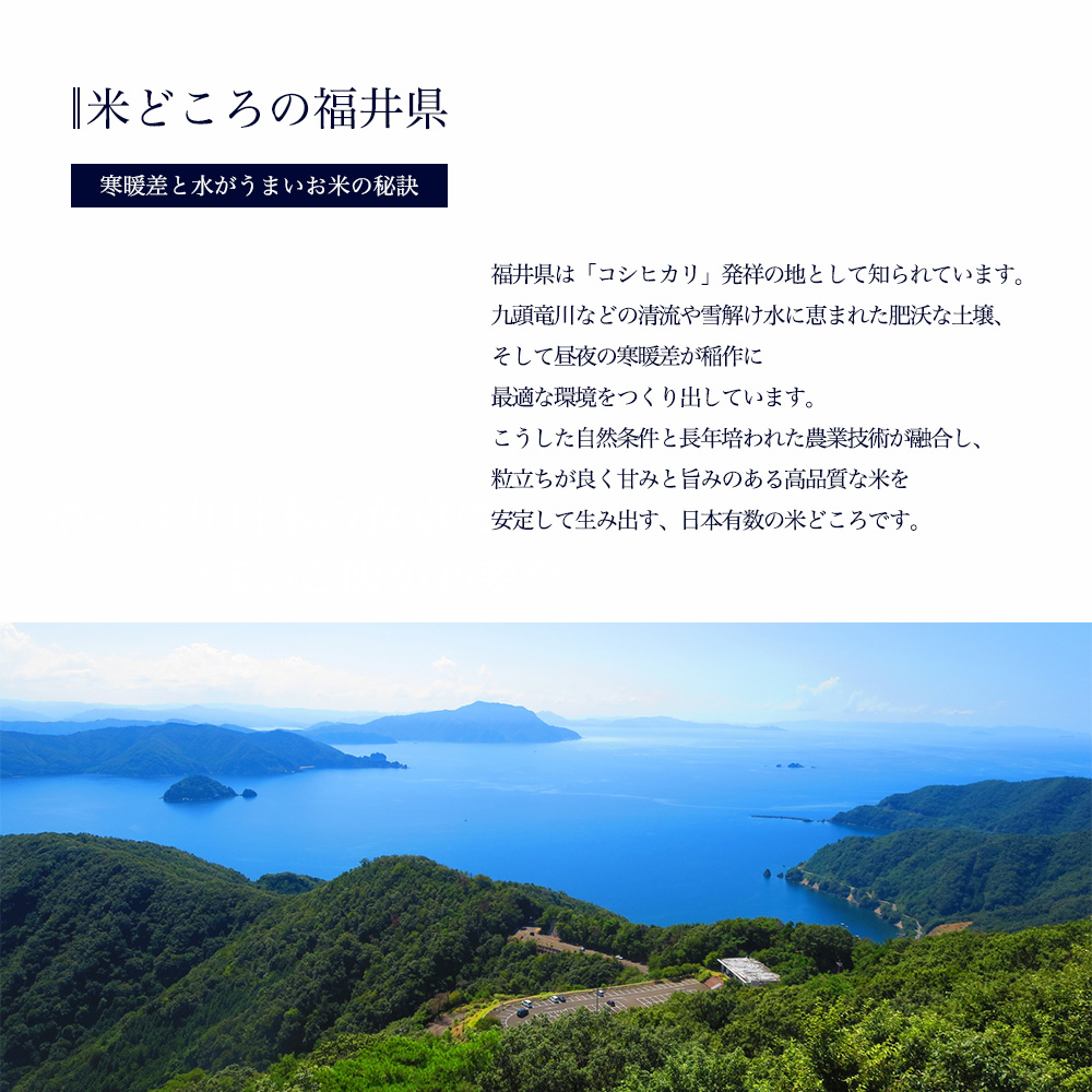 令和7年度産】福井県産 コシヒカリ こしひかり 玄米 10kg 産地直送 お