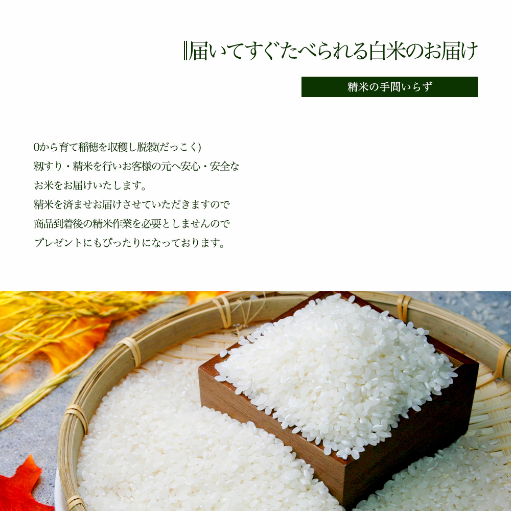 令和7年度産】福井県産 コシヒカリ こしひかり 玄米 10kg 産地直送 お