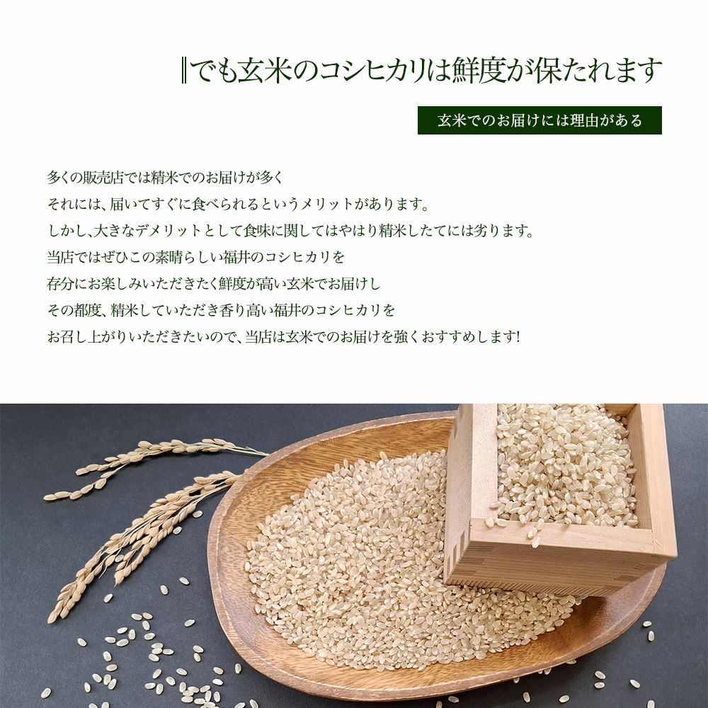令和7年度産】福井県産 コシヒカリ こしひかり 玄米 10kg 産地直送 お
