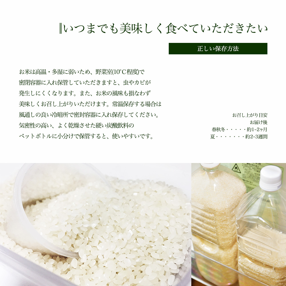 令和7年度産】福井県産 コシヒカリ こしひかり 玄米 10kg 産地直送 お