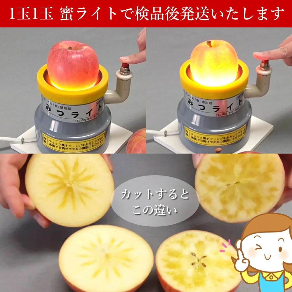 山形県産 蜜入り りんご 高徳 こうとく 2k...の詳細画像3