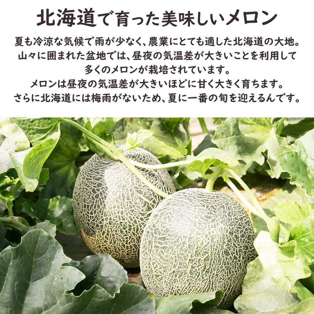 フルーツセット 桃＆富良野メロン お中元 果物 ギフト もも メロン