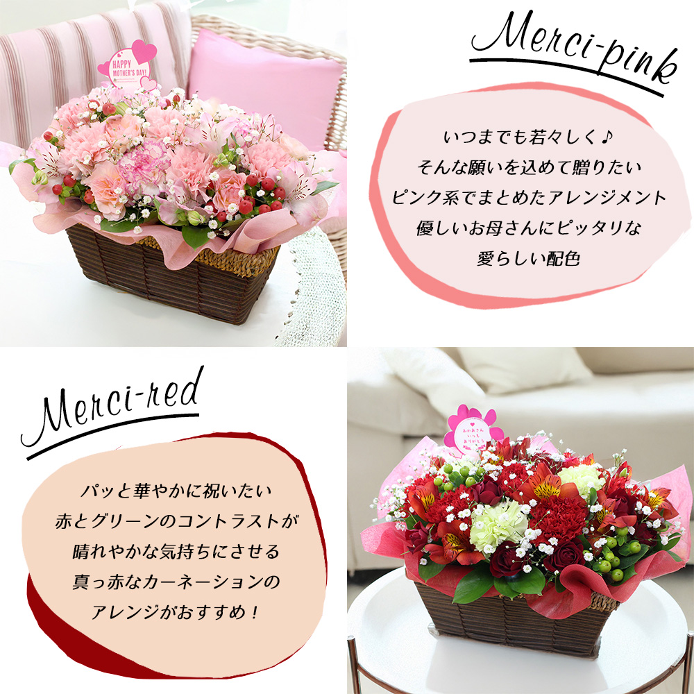 遅れてごめんね 2026 母の日 花 カーネーション アレンジメント 生花