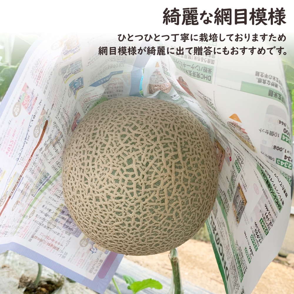 和歌山産直メロン