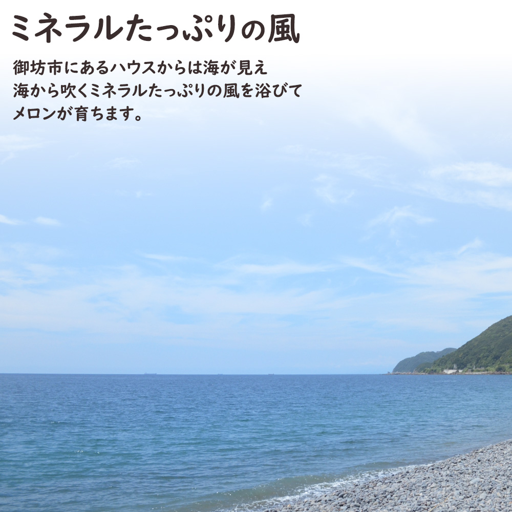 和歌山産直メロン