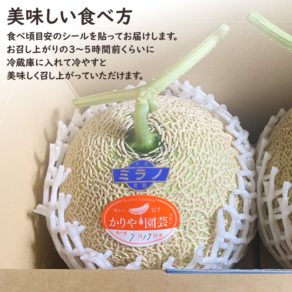 和歌山産直メロン