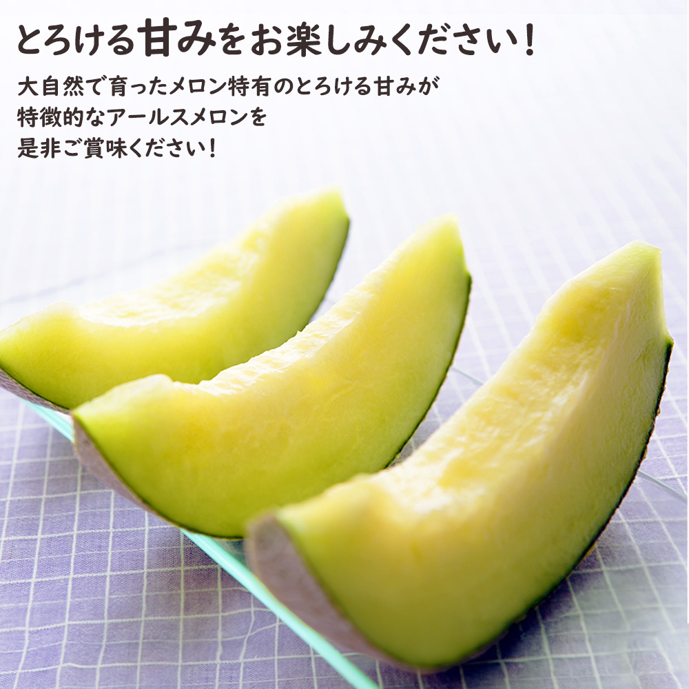 和歌山産直メロン