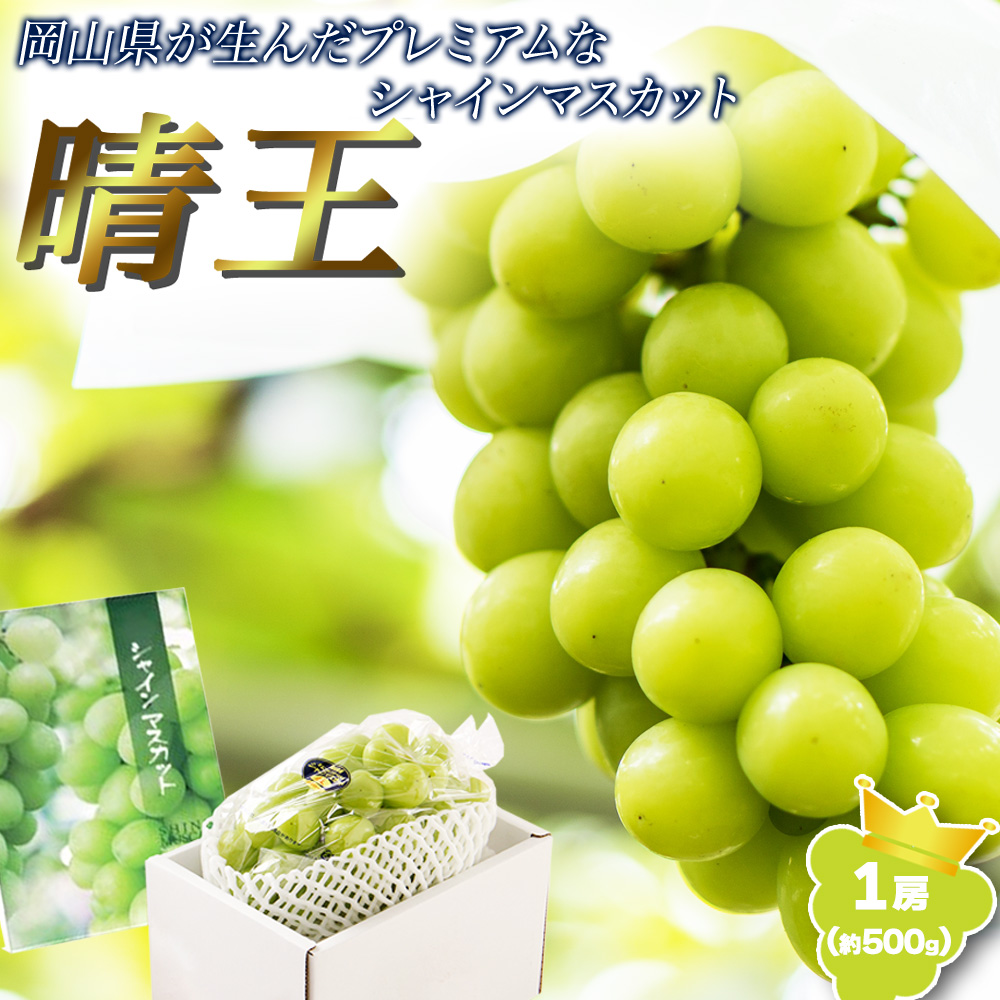 RY VC}XJbg  1[ 500g }XJbg Ԃǂ R ʕ ʎ t[c p ƒp 햳Mtg yBOz[RY  1[]
