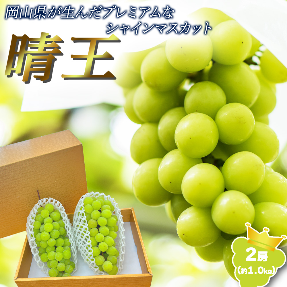 RY VC}XJbg  2[ 1kg }XJbg Ԃǂ R ʕ ʎ t[c p ƒp 햳Mtg yBOz[RY  2[]
