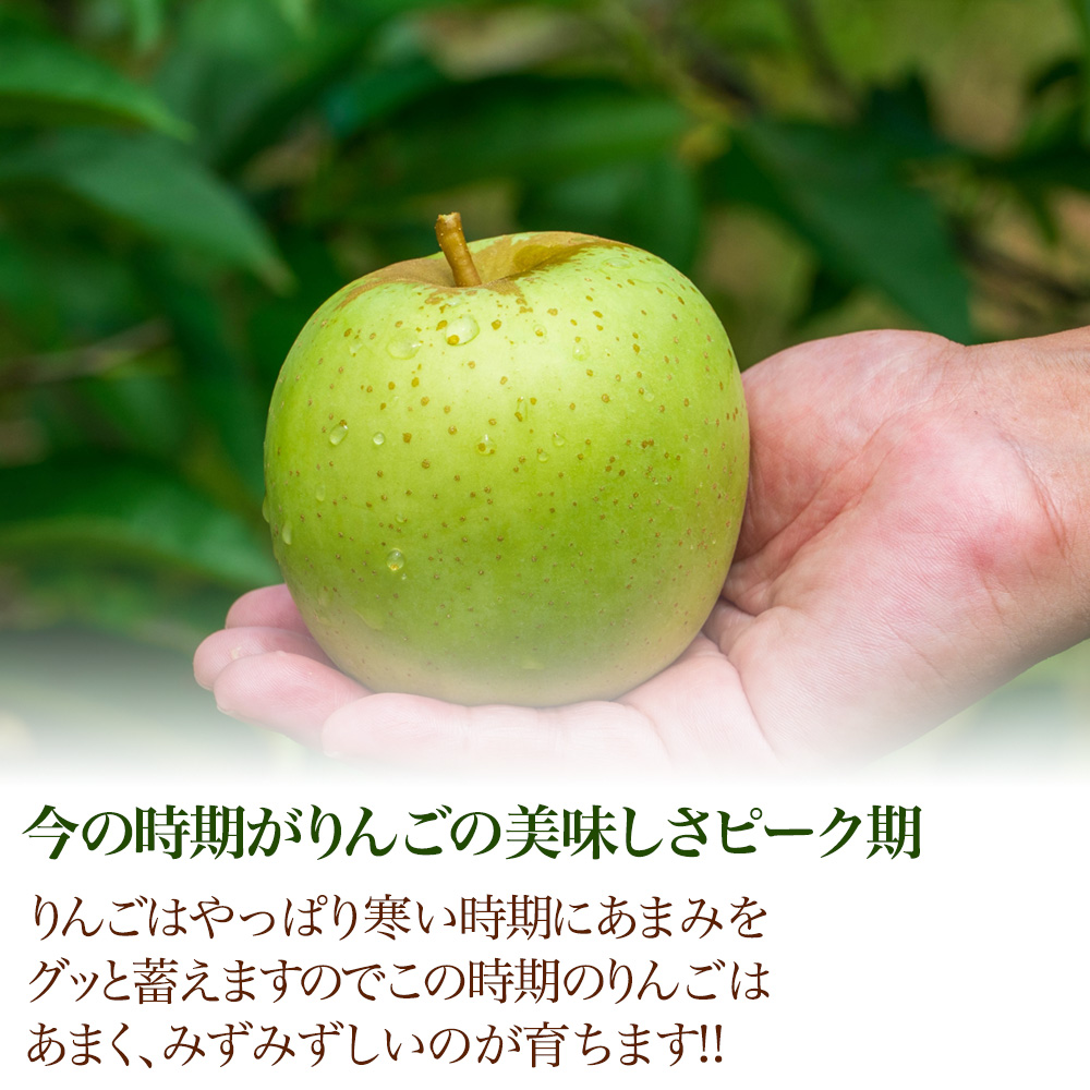 青森県産 王林 小玉 おうりん オウリン 10玉 約 1.8kg りんご