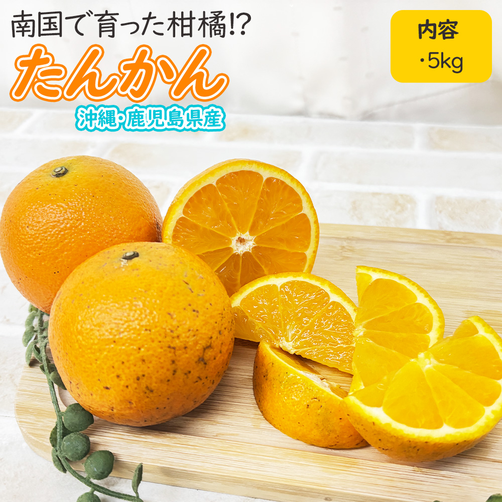\最安値に挑戦/ 鹿児島県 たんかん タンカン 約5kg 訳あり 訳アリ 柑橘 フルーツ 果物 家庭用 自宅用 [訳ありたんかん 5kg ...