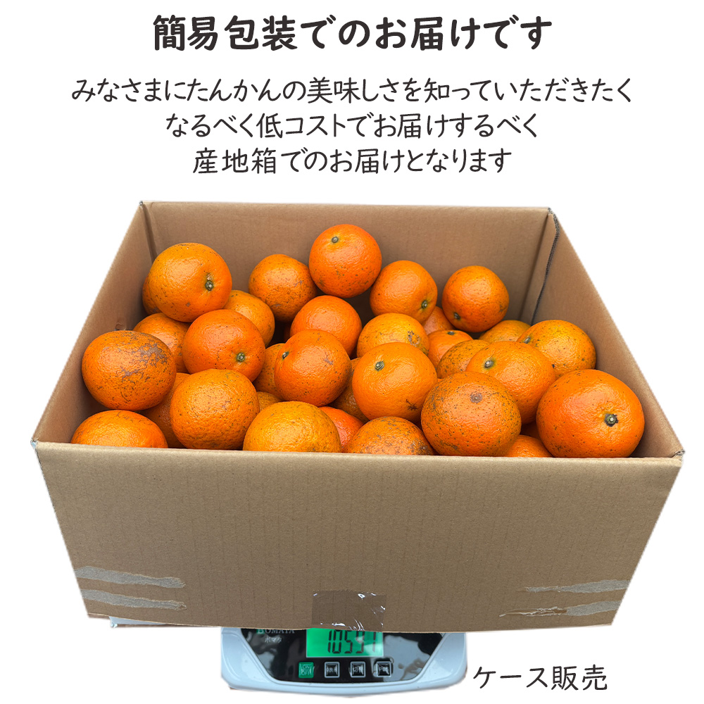 沖縄県 鹿児島県 たんかん タン カン 約10kg 訳あり 訳アリ 柑橘 親は