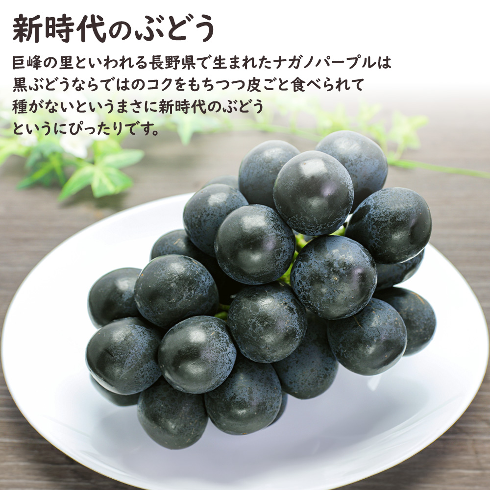 ナガノパープル