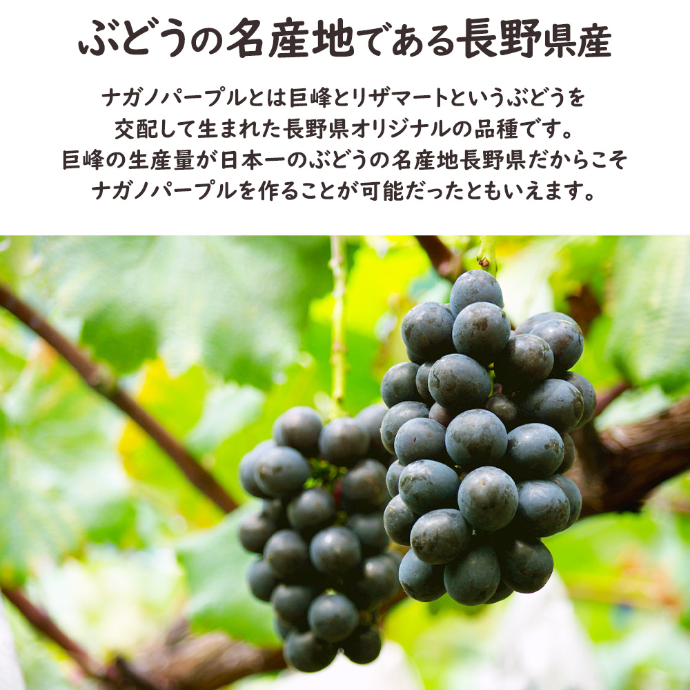 ナガノパープル